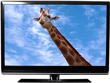 Kakšna je razlika med LED in LCD televizorji
